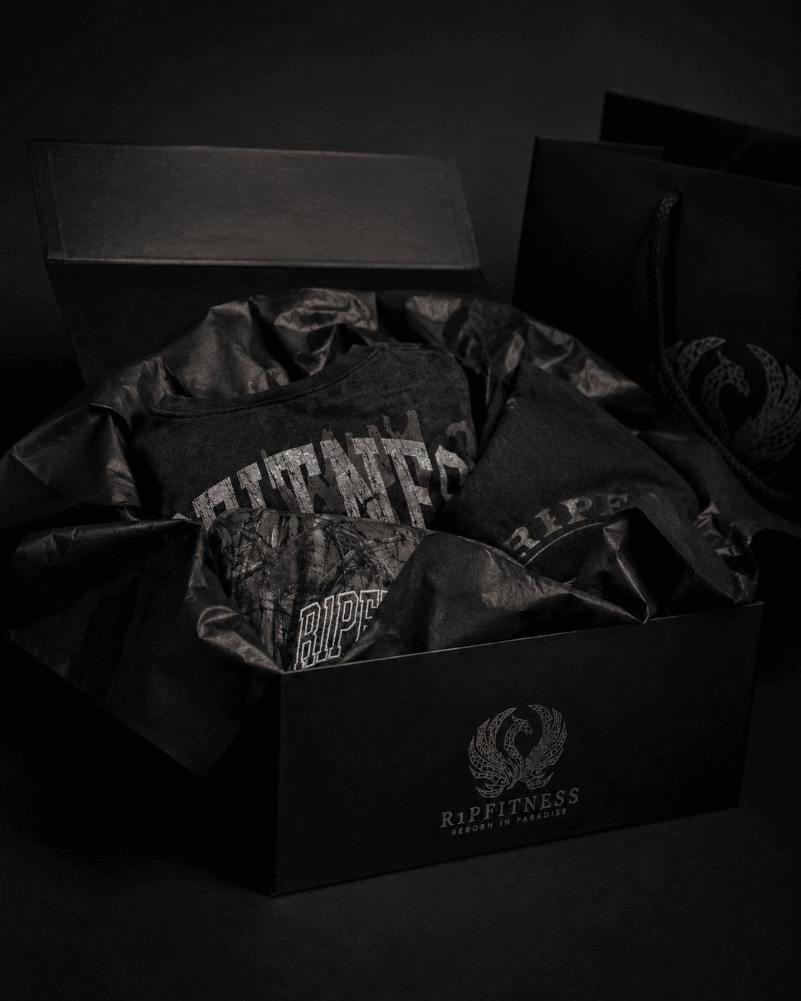 R1PFITNESS Ambassador Package — alternate view