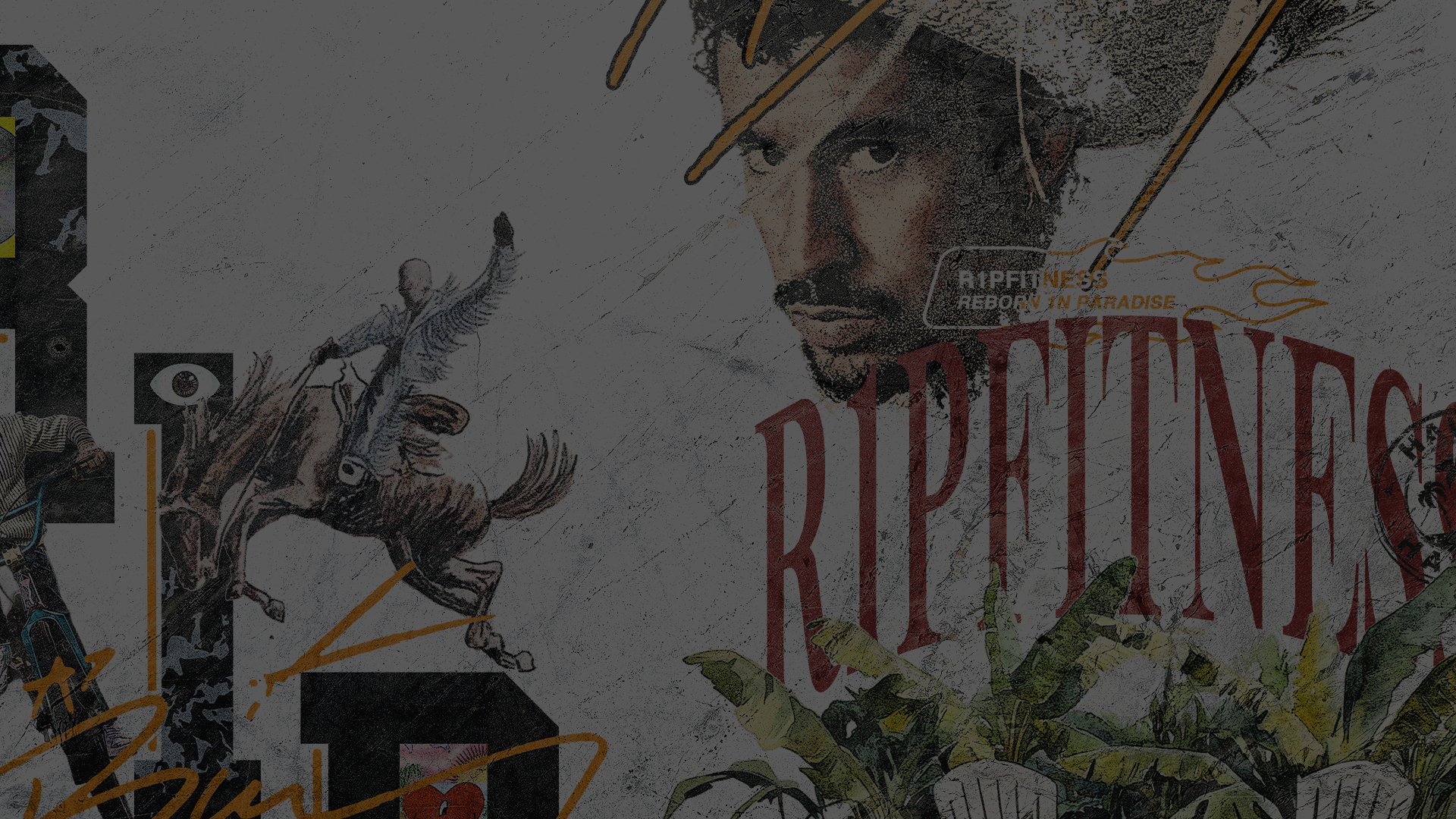 bad bunny collection